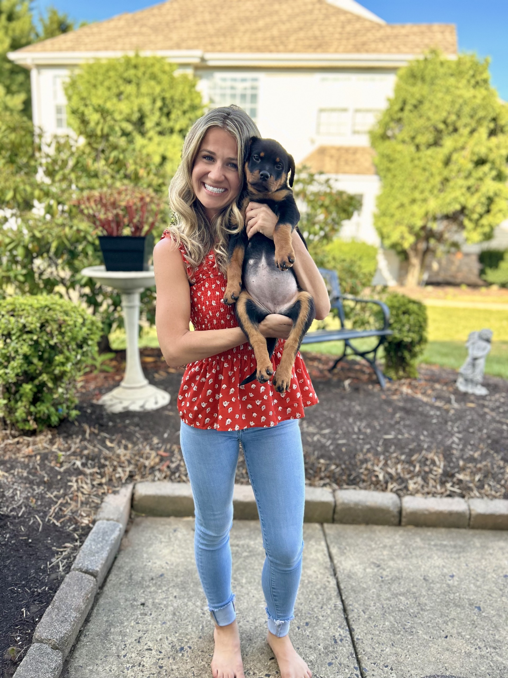 Happy pet walker in bucks county, pa